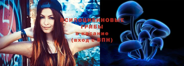 прущие крисы Алзамай