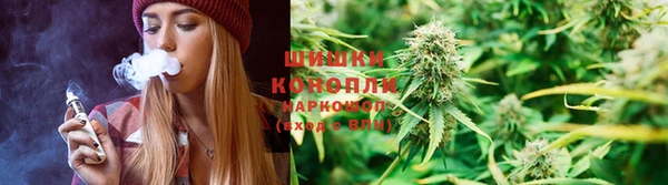 прущие крисы Алзамай
