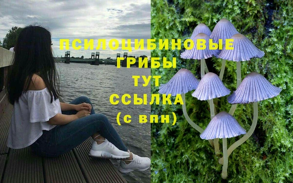 прущие крисы Алзамай