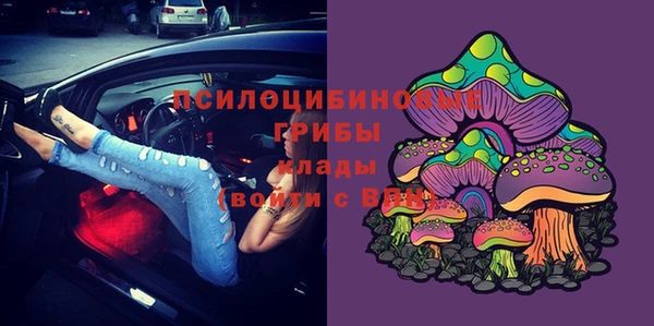 прущие крисы Алзамай